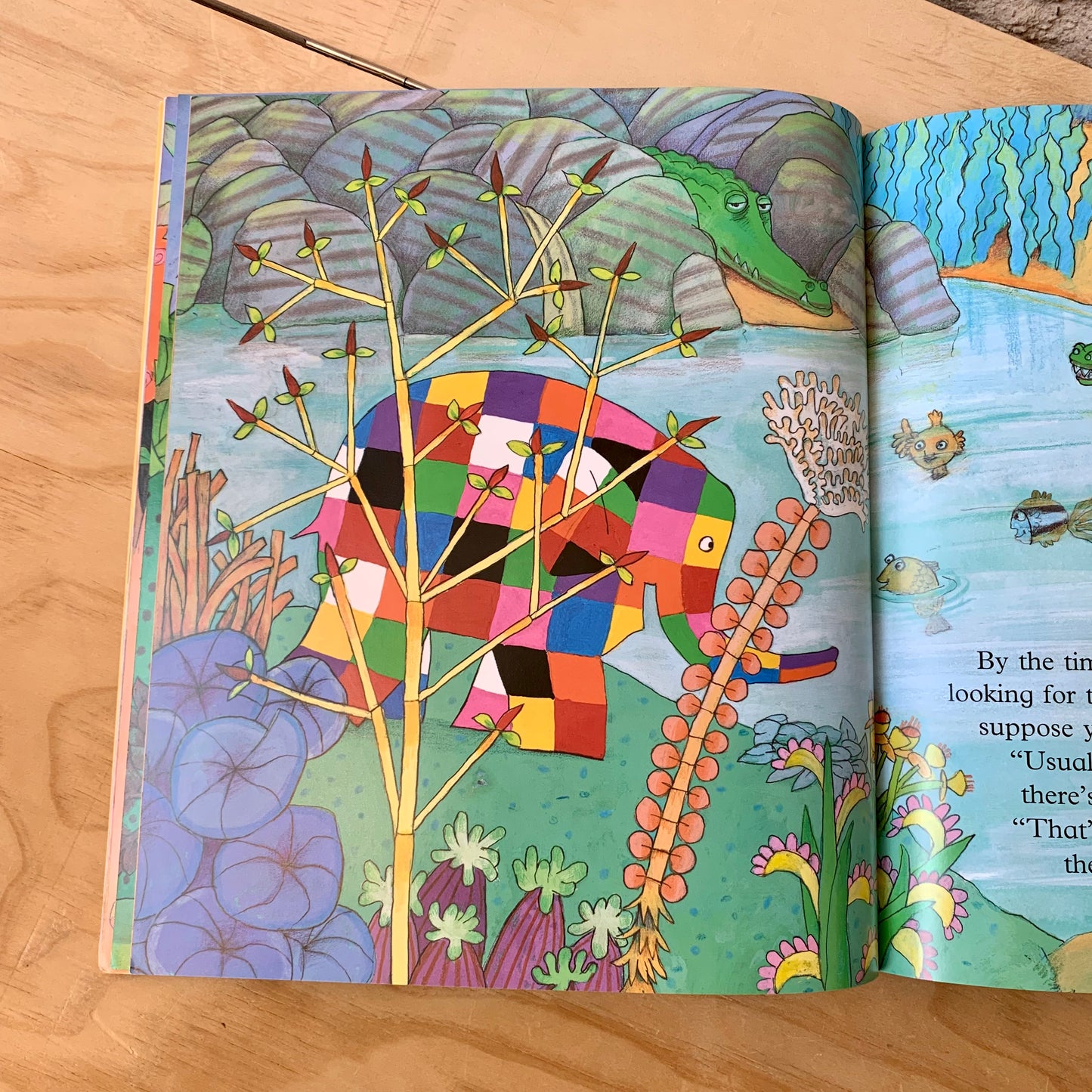 Elmer and the Rainbow – David McKee
