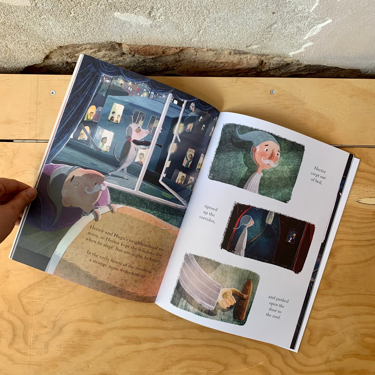 The Bear, the Piano, the Dog and the Fiddle – David Litchfield
