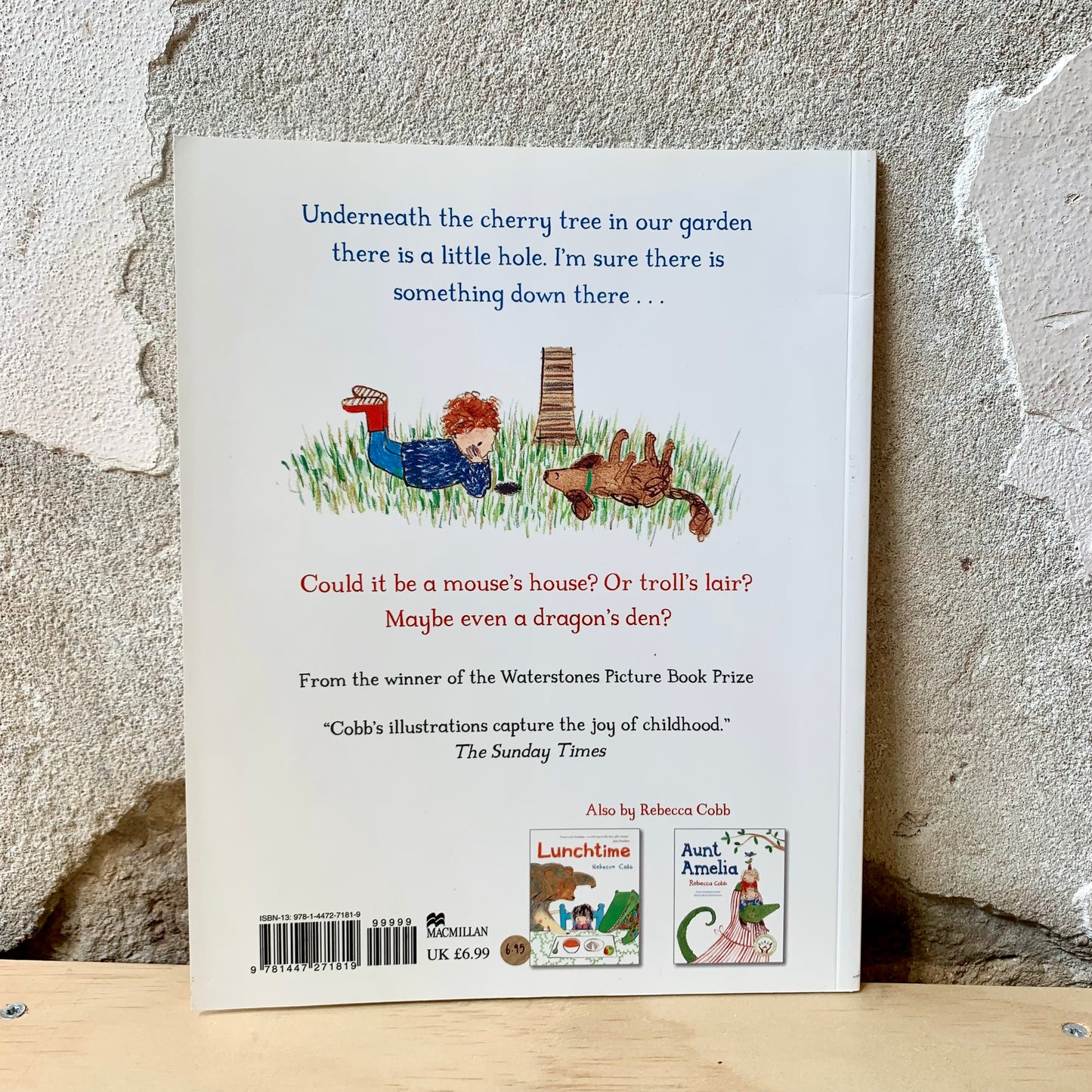 The Something – Rebecca Cobb