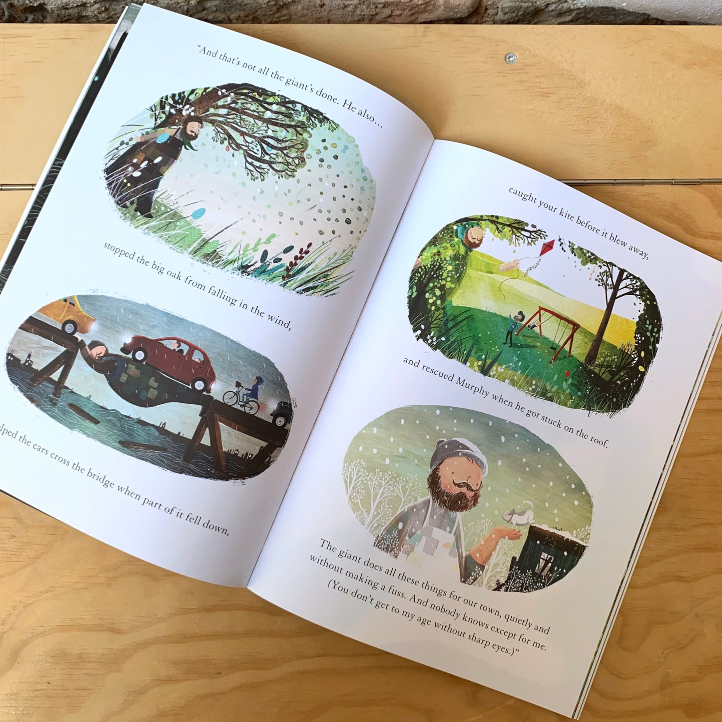 Grandad's Secret Giant – David Litchfield