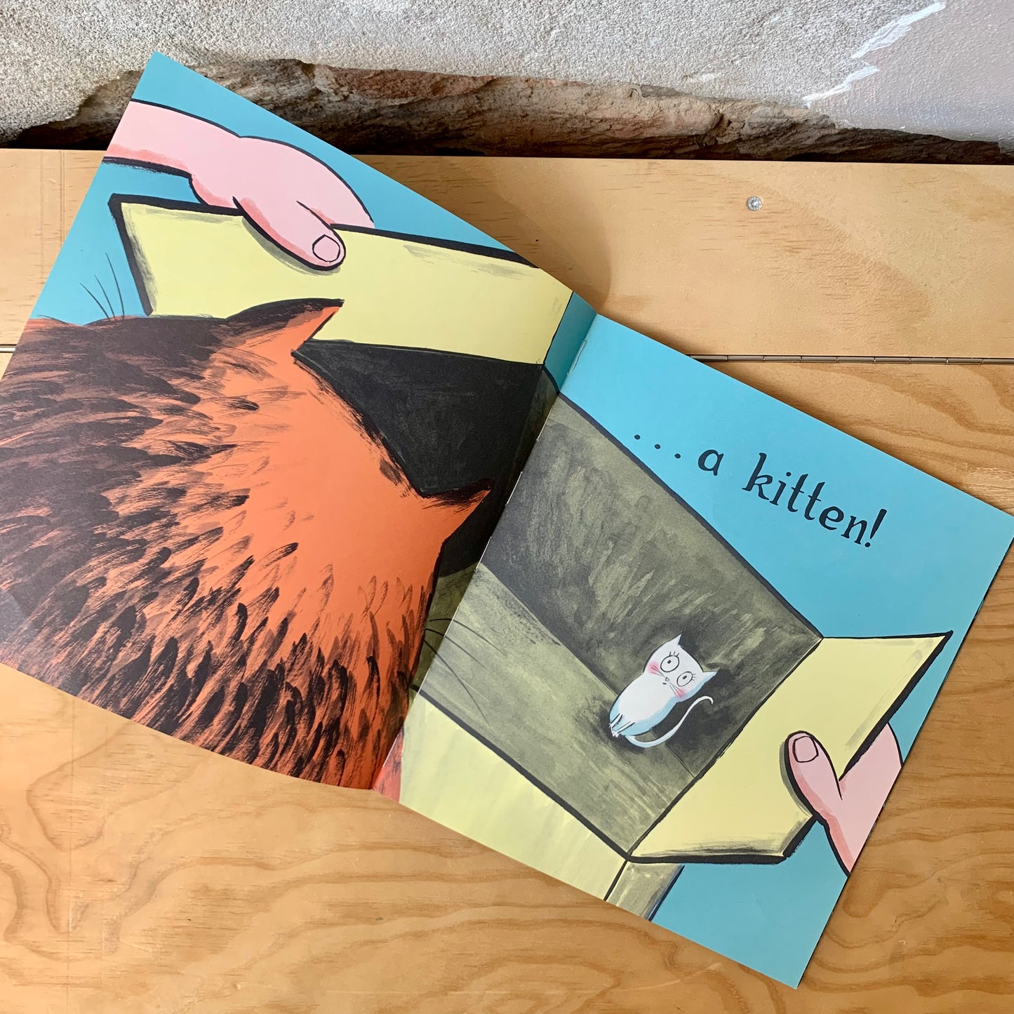 Mr. Pusskins and Little Whiskers – Sam Lloyd