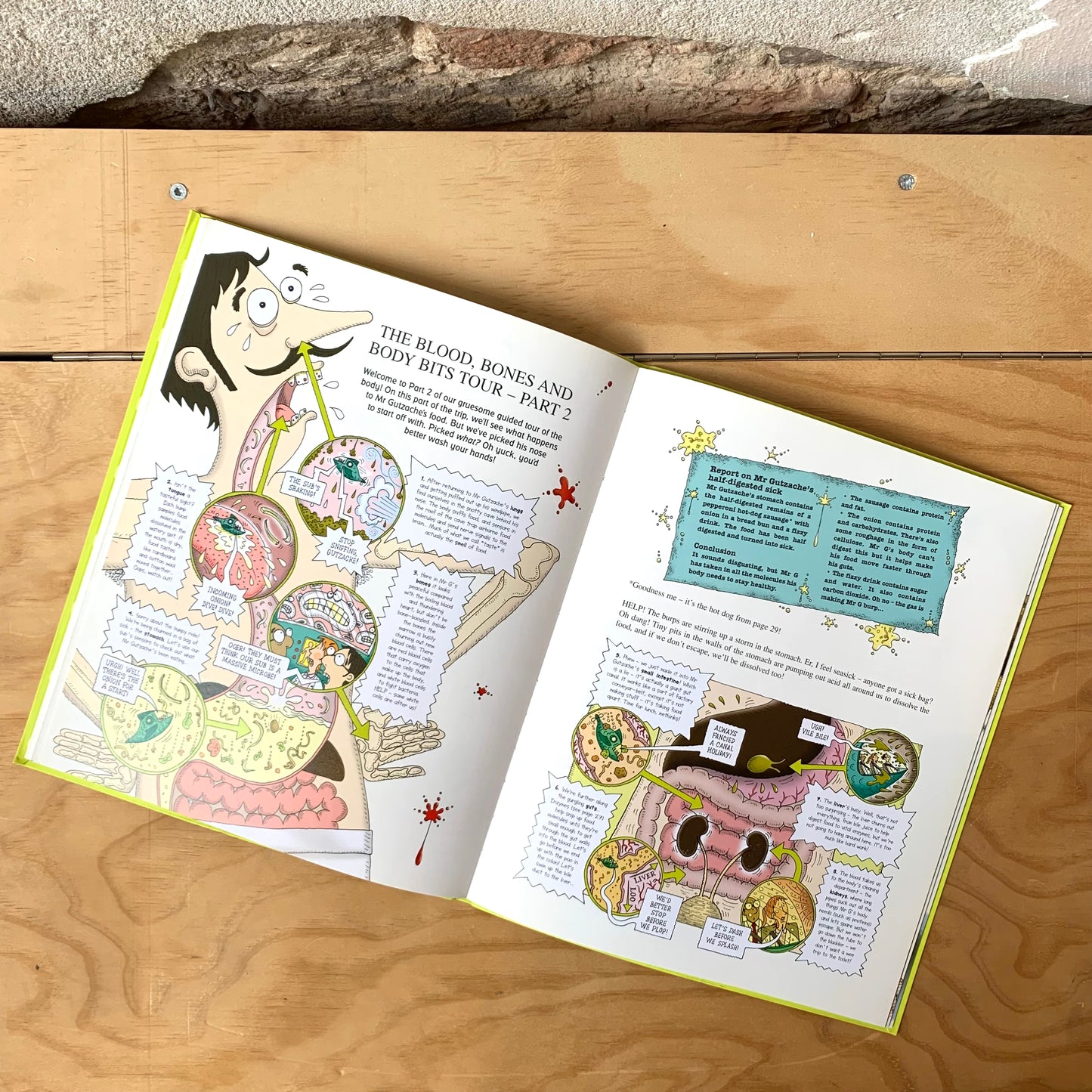 The Horrible Science of Everything – Nick Arnold, Tony De Saulles