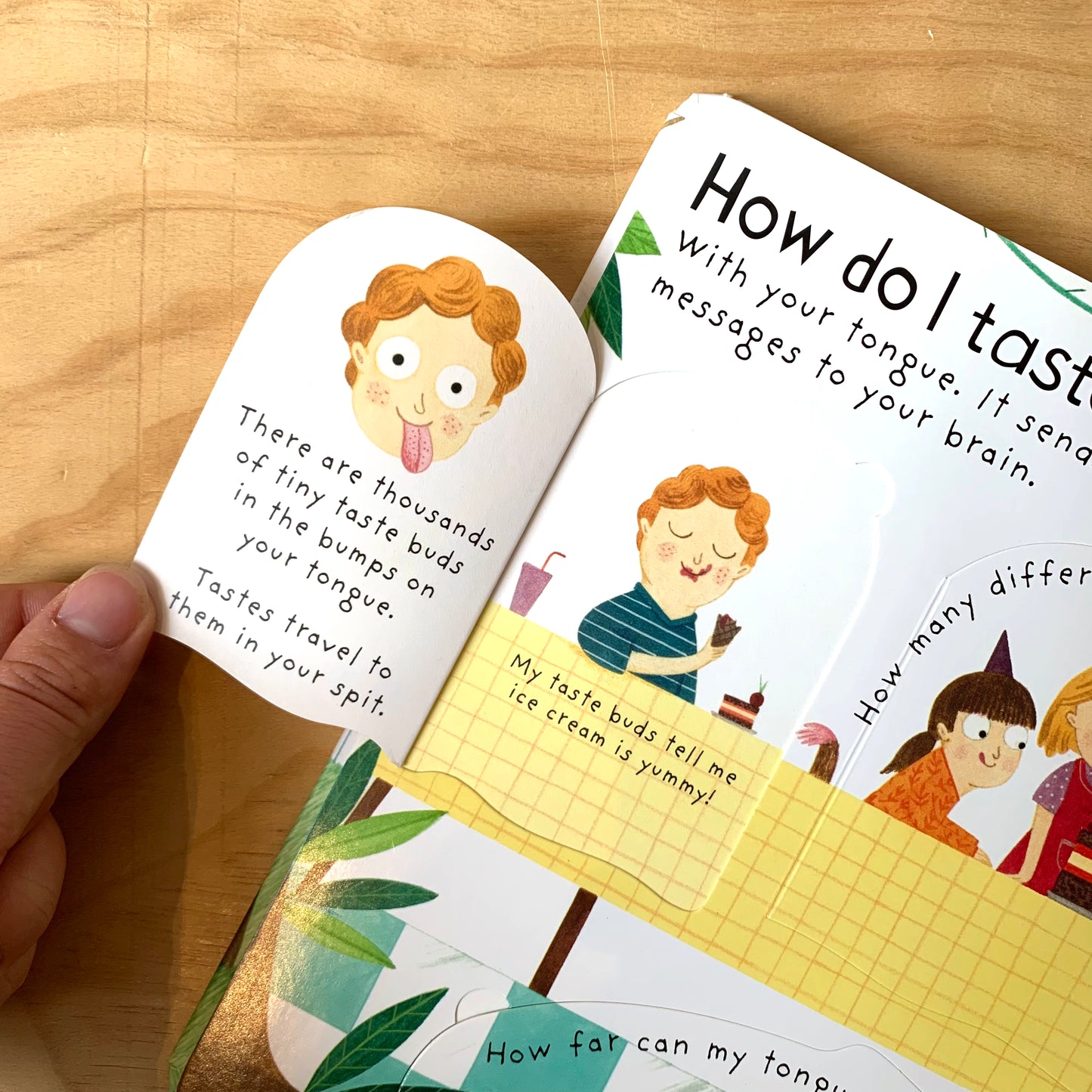 How Do I See? And how do my other senses work?