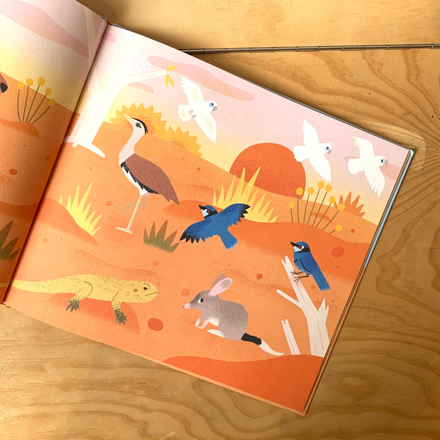 One Day on our Blue Planet... In the Outback – Ella Bailey