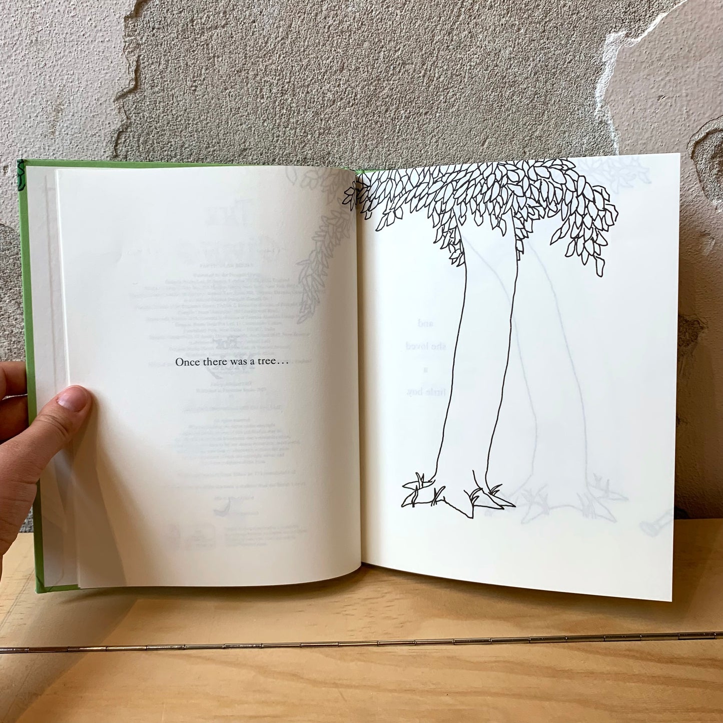The Giving Tree – Shel Silverstein