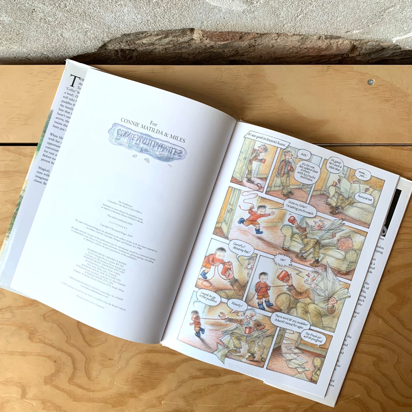 The Puddleman – Raymond Briggs