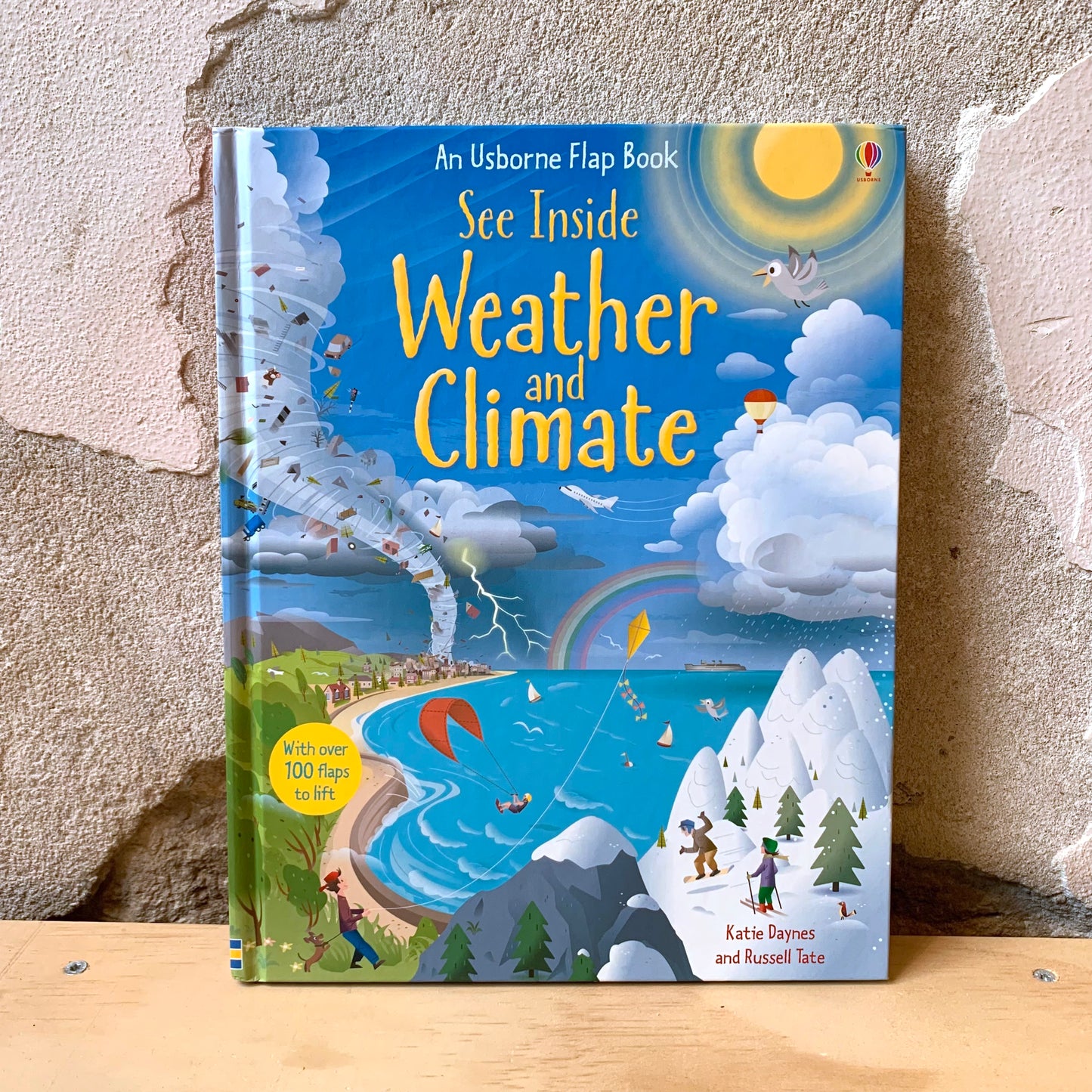 Usborne See Inside Weather and Climate