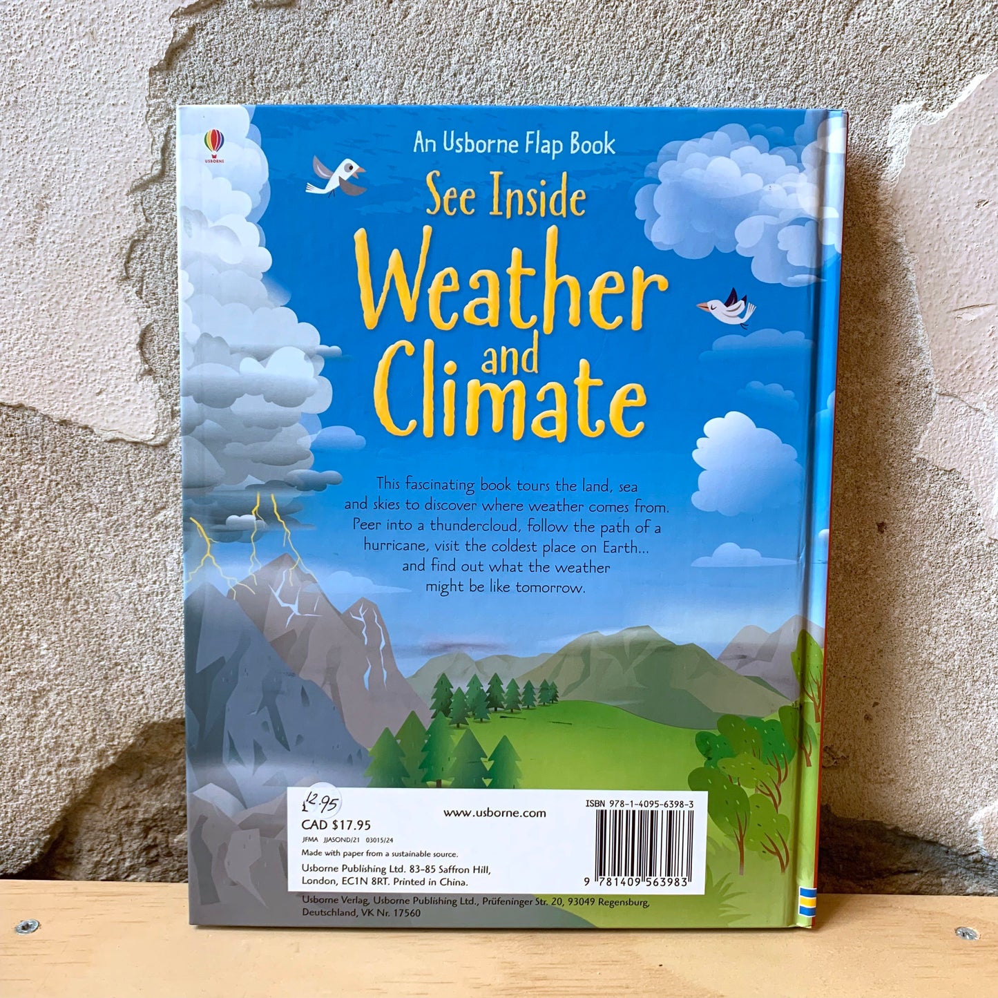 Usborne See Inside Weather and Climate