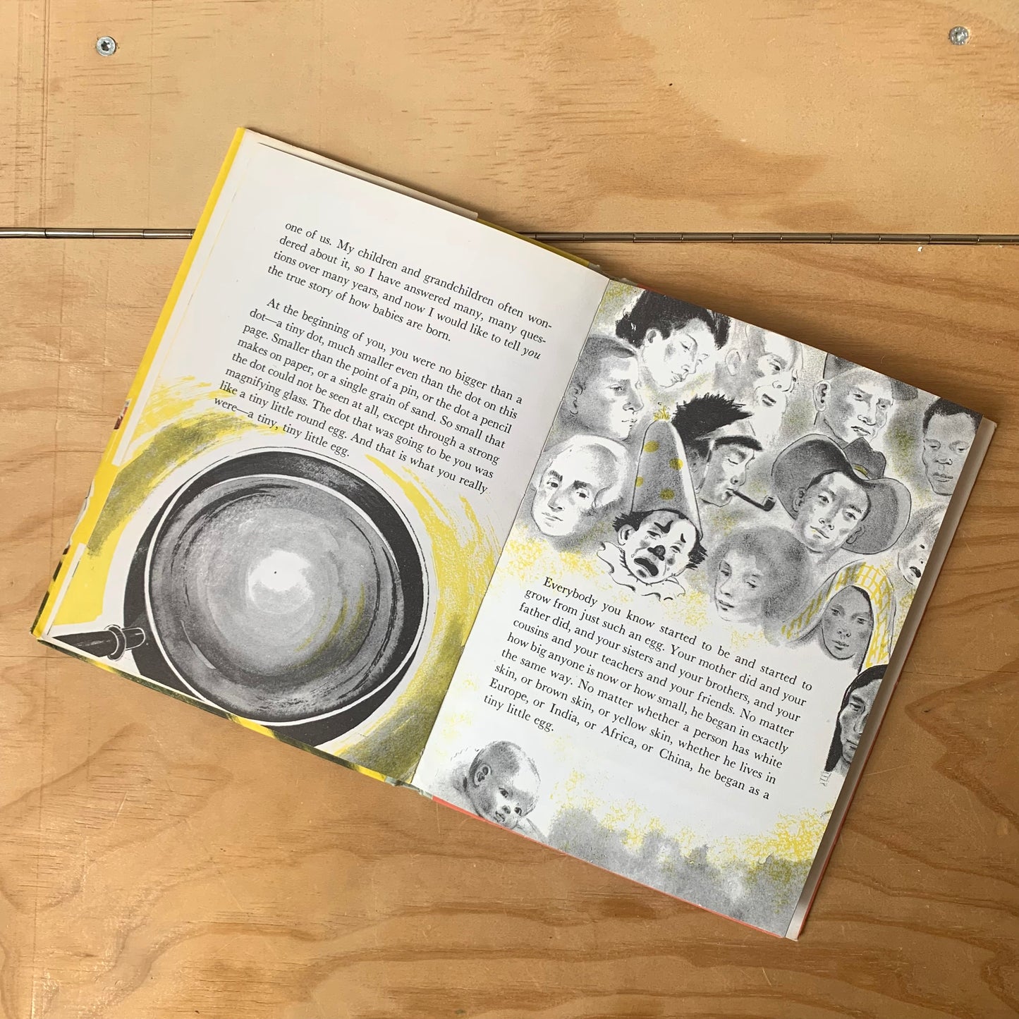 The Wonderful Story of How You Were Born – Sidonie Matsner Gruenberg