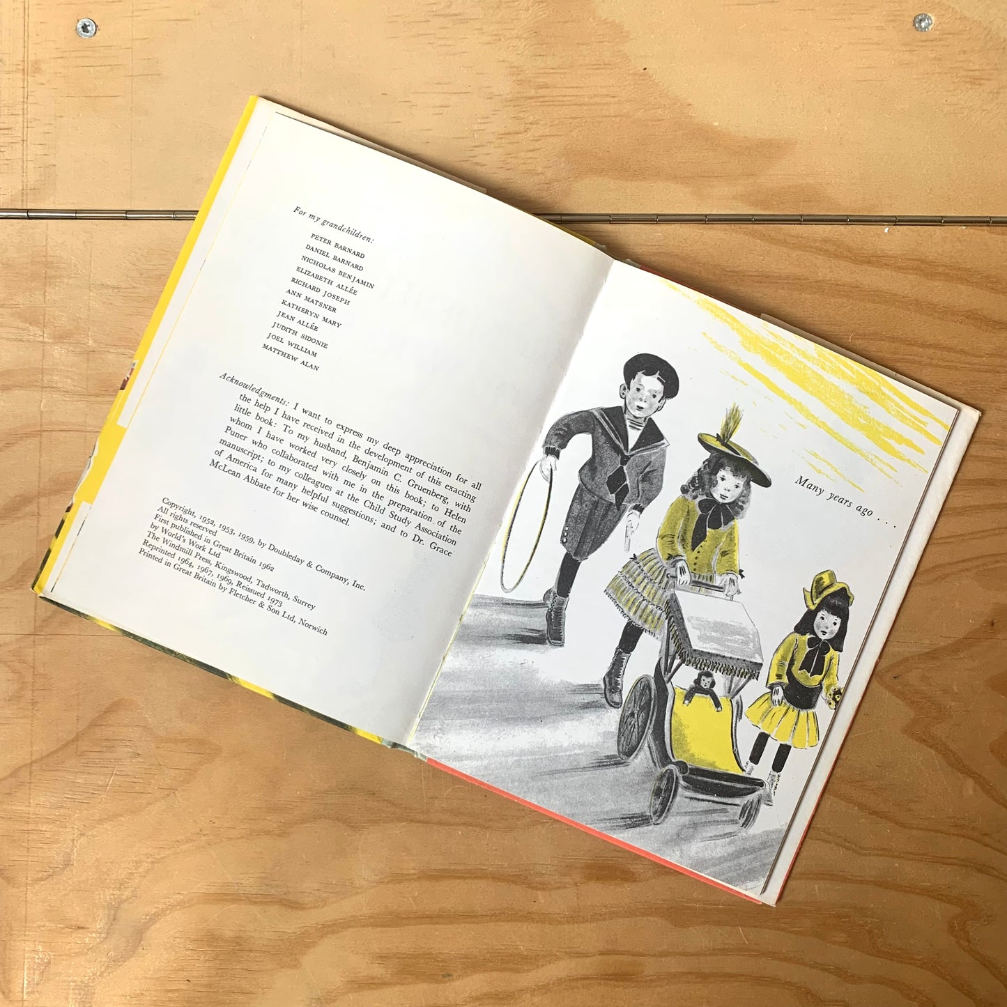 The Wonderful Story of How You Were Born – Sidonie Matsner Gruenberg