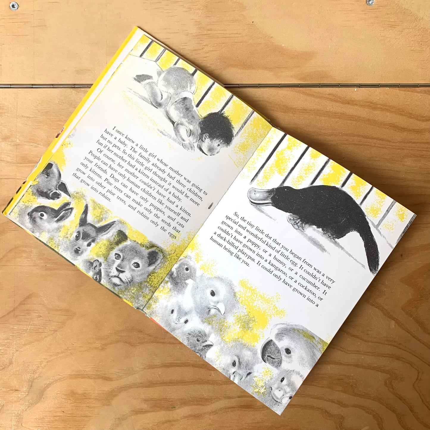 The Wonderful Story of How You Were Born – Sidonie Matsner Gruenberg