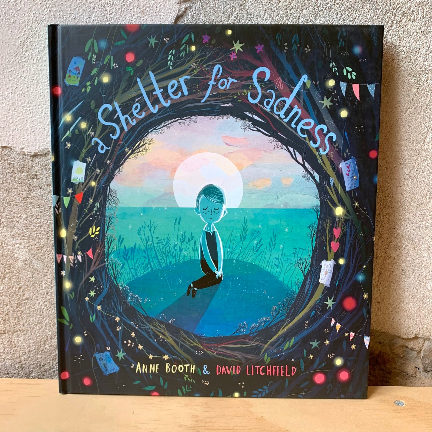 A Shelter for Sadness – Anne Booth