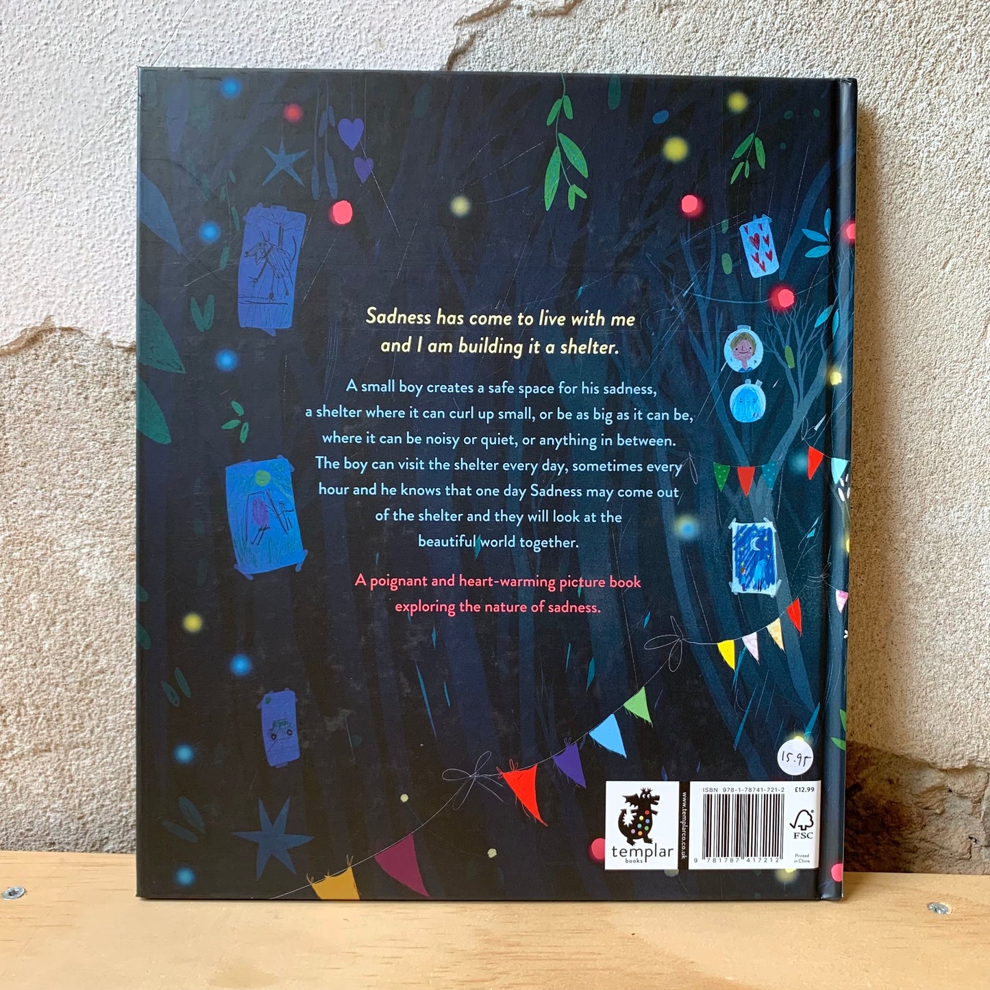 A Shelter for Sadness – Anne Booth