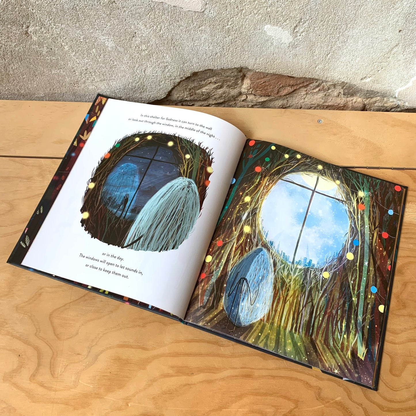 A Shelter for Sadness – Anne Booth