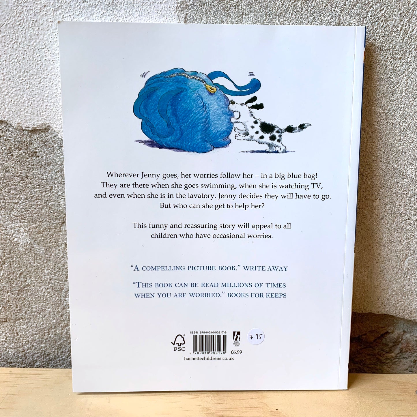 The Huge Bag of Worries – Virginia Ironside