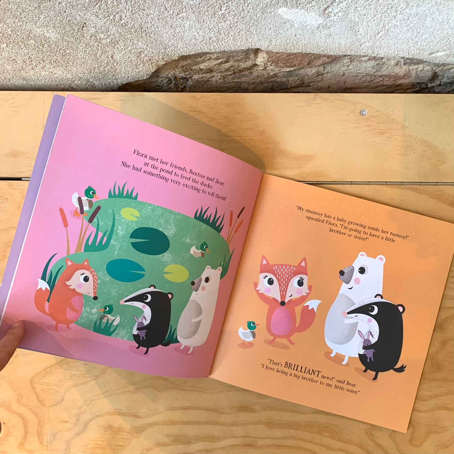 Flora and the New Baby – Rowena Blyth