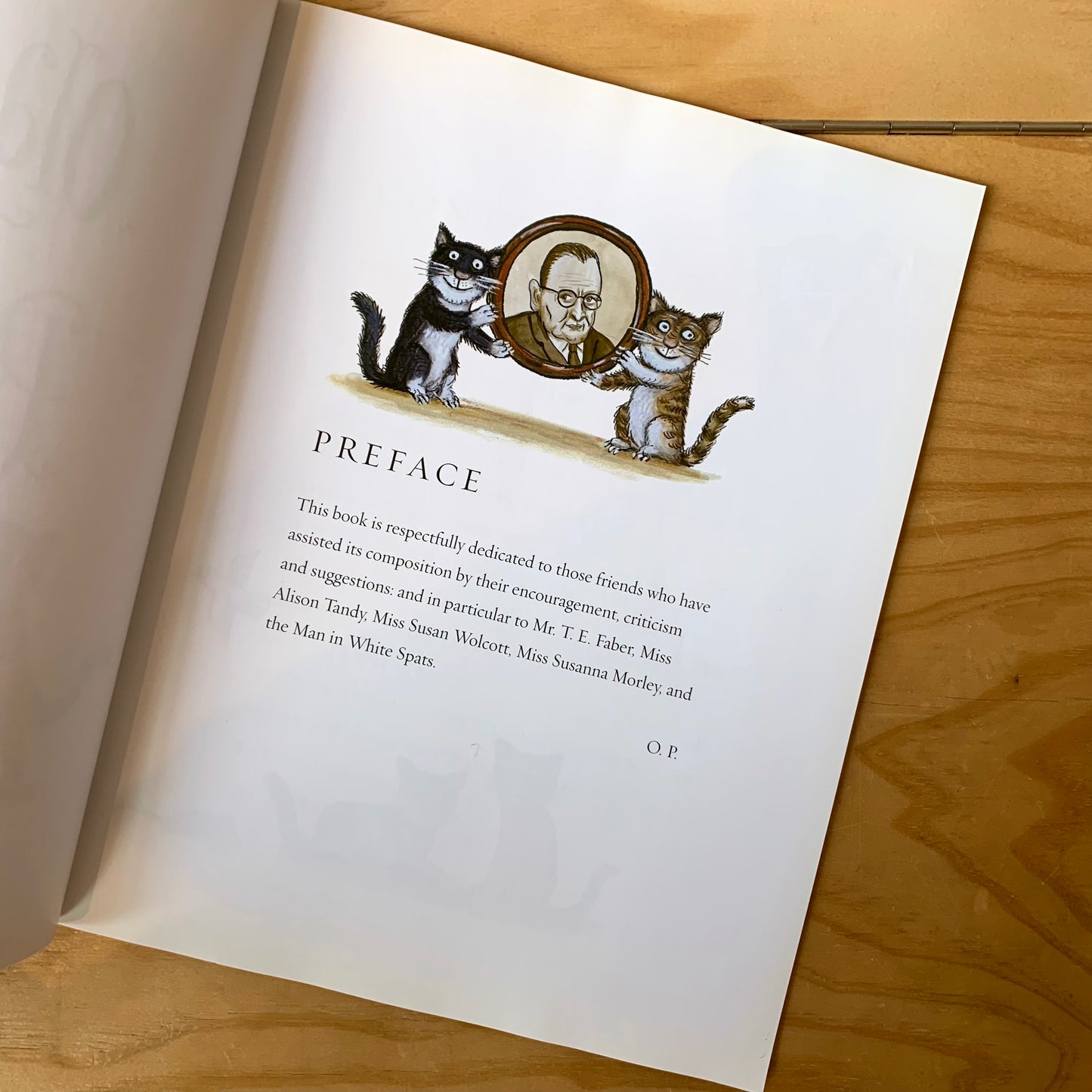 Old Possum's Book of Practical Cats – T. S. Eliot, Axel Scheffler