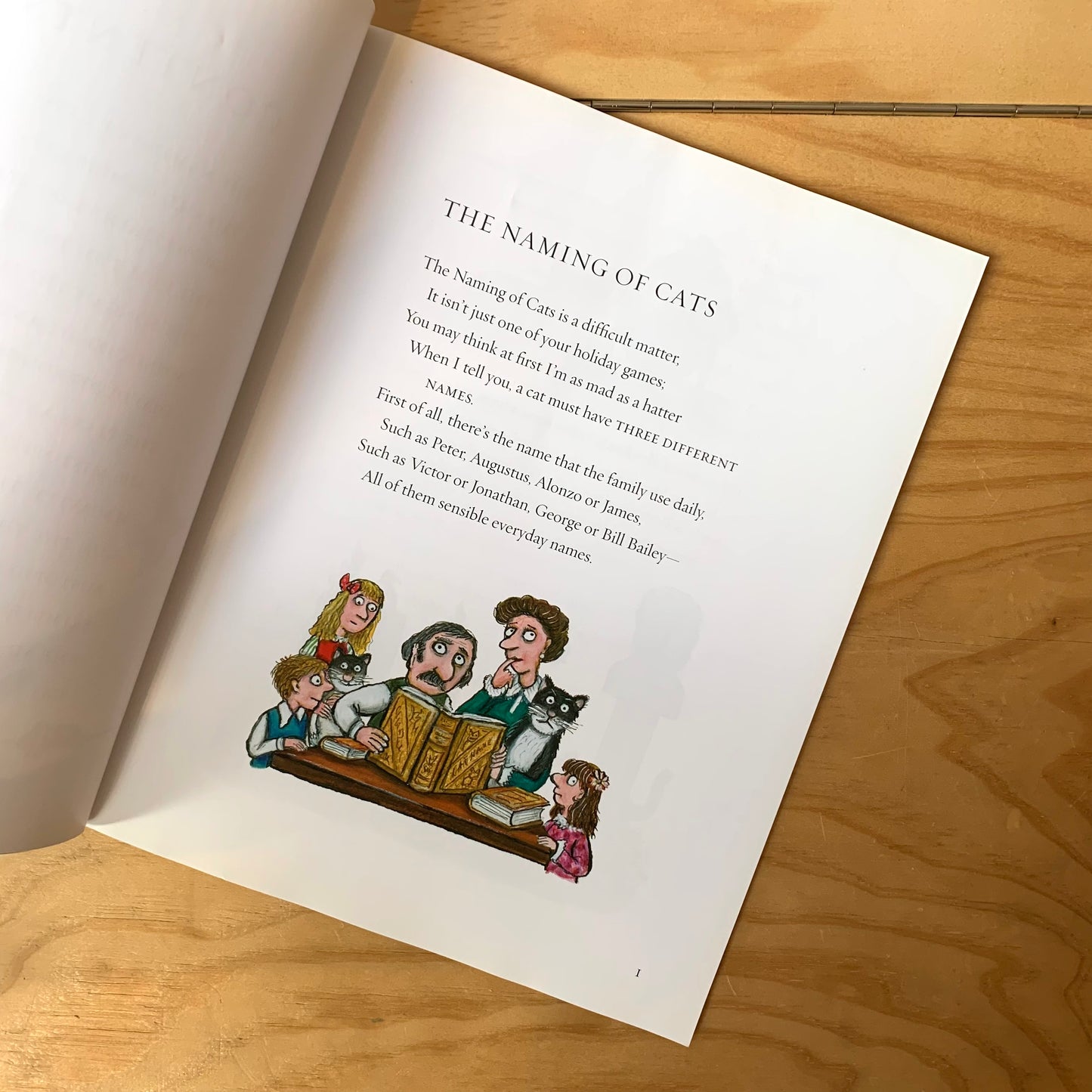 Old Possum's Book of Practical Cats – T. S. Eliot, Axel Scheffler