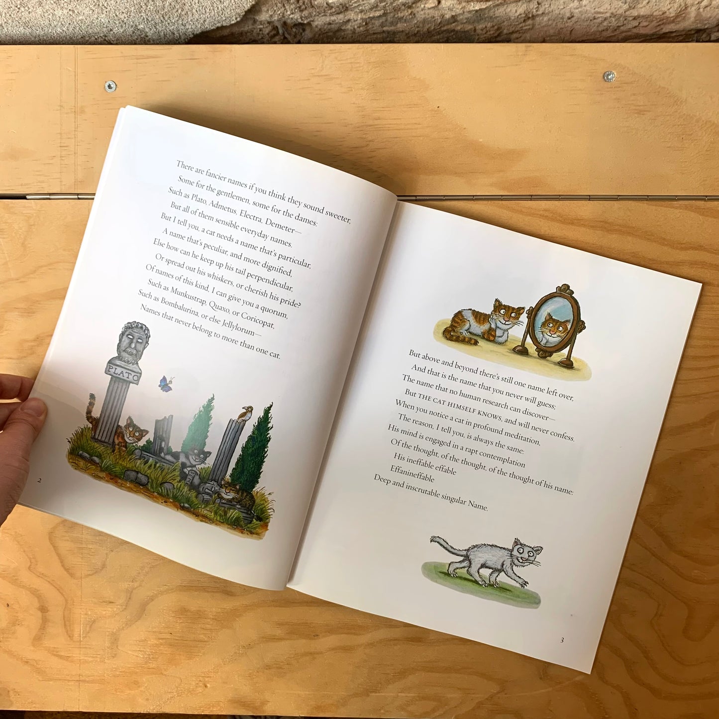 Old Possum's Book of Practical Cats – T. S. Eliot, Axel Scheffler