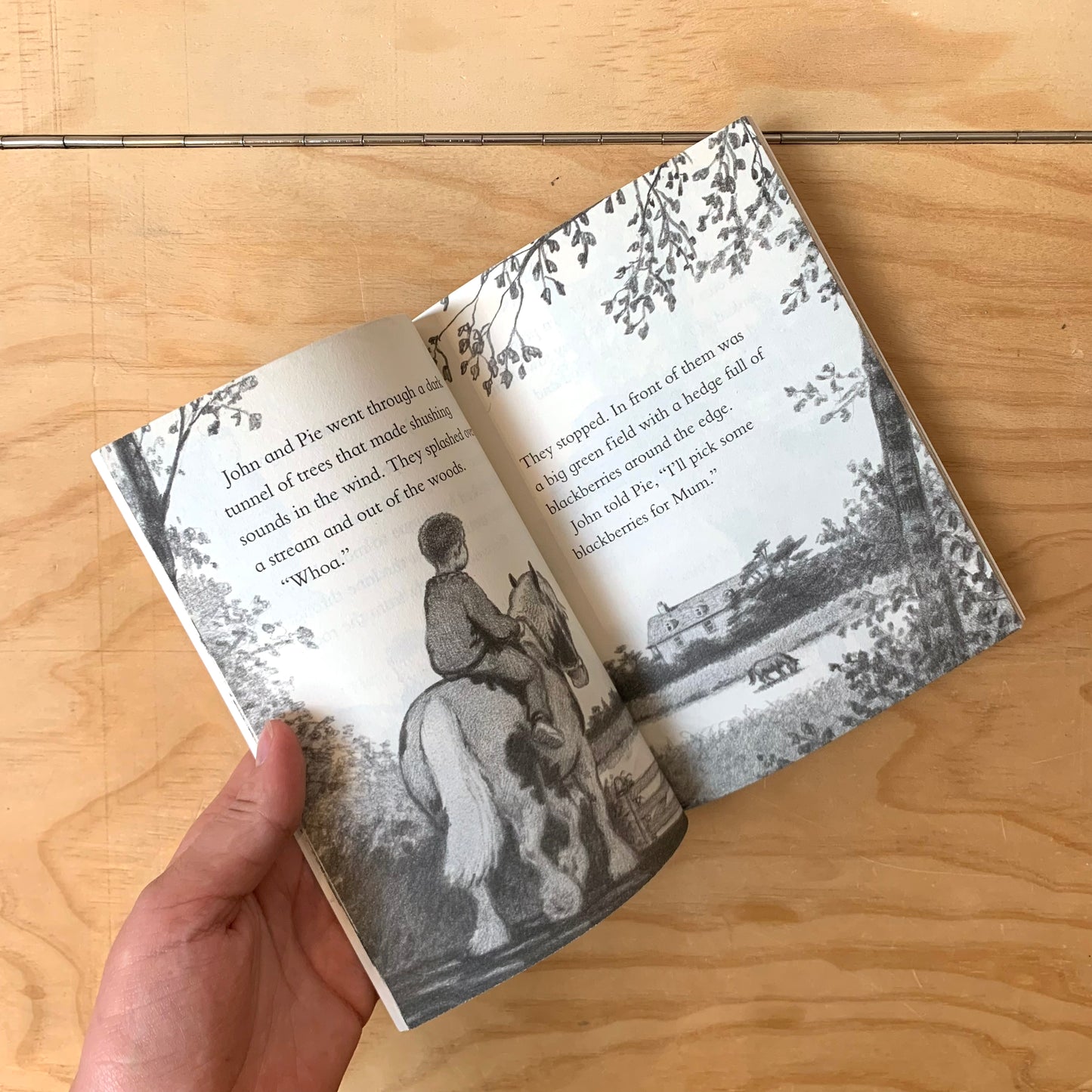 Walker Stories: Toffee and Pie - Pippa Goodhart, Paul Howard