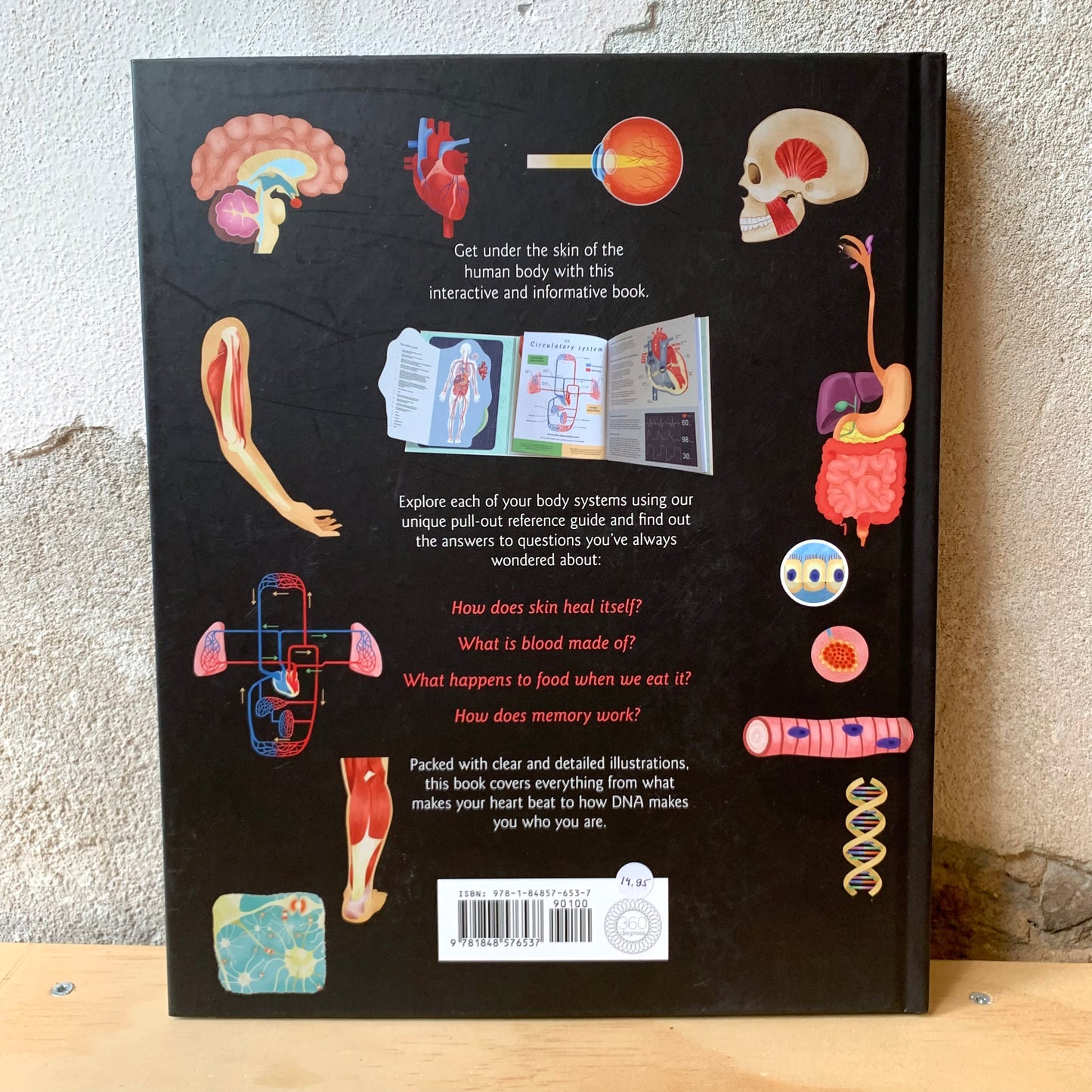 Humanatomy, How the Body Works – Nicola Edwards, George Ermos, Jem Maybank