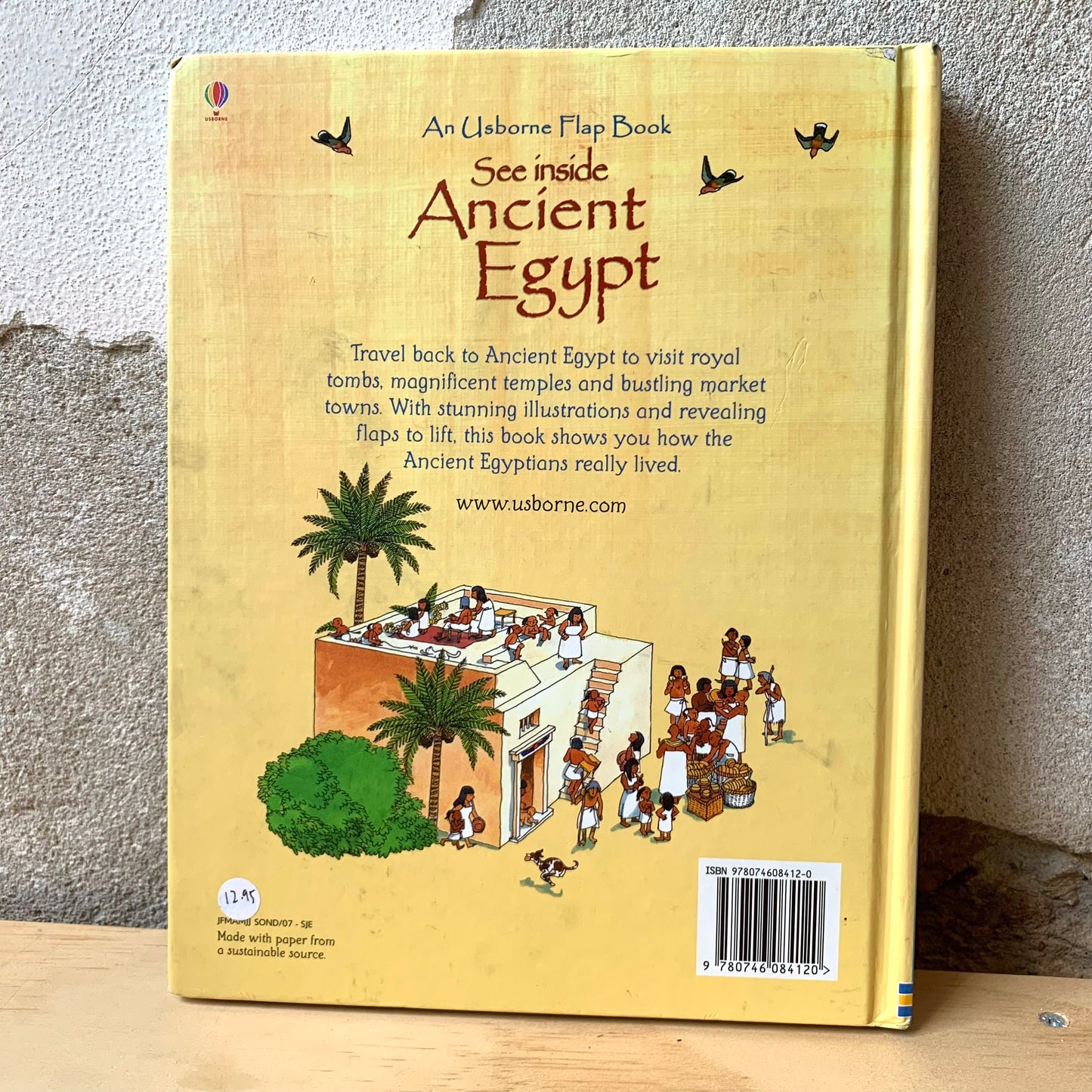 Usborne See Inside Ancient Egypt – Rob Lloyd Jones, David Hancock