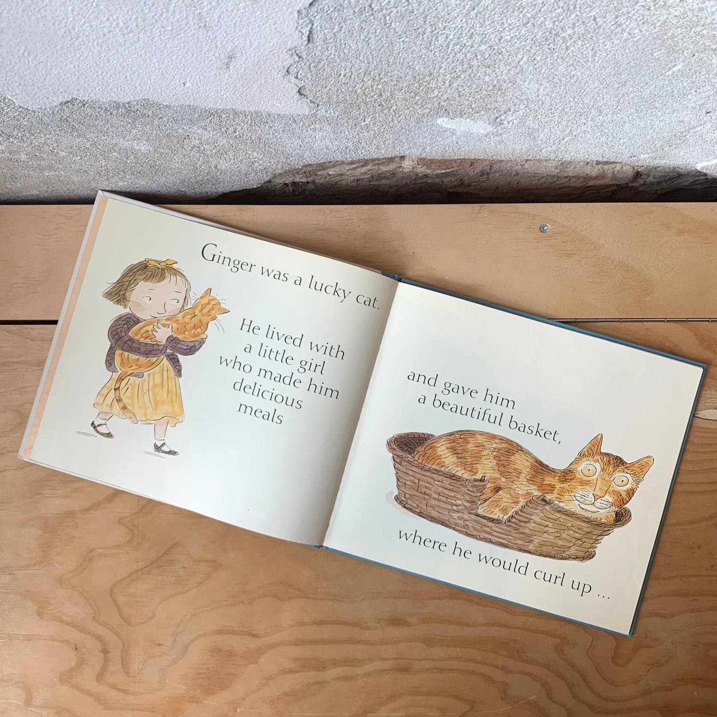 Ginger – Charlotte Voake