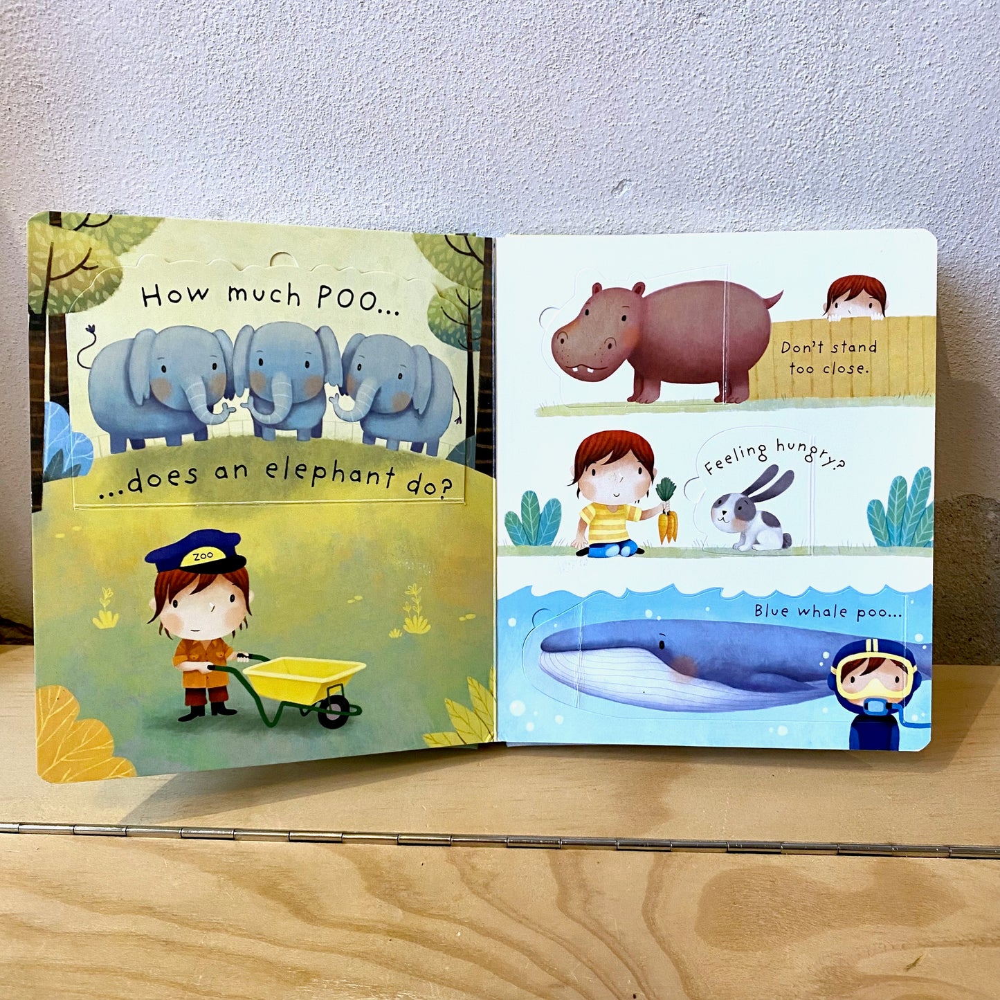 Lift-The-Flap Very First Questions and Answers: What Is Poo? / Katie Daynes