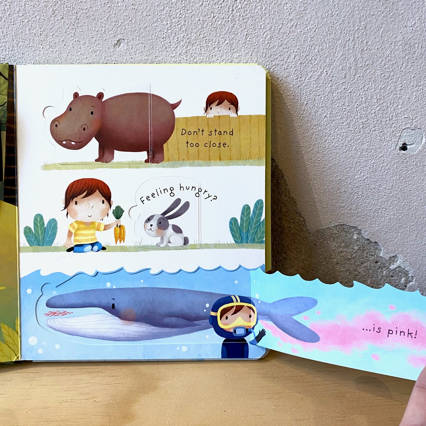 Lift-The-Flap Very First Questions and Answers: What Is Poo? / Katie Daynes