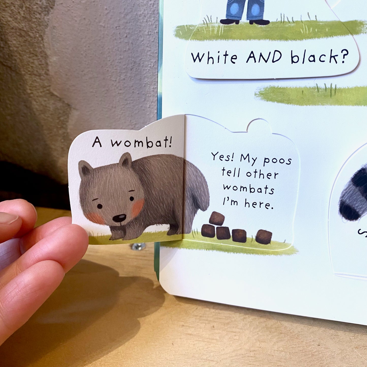 Lift-The-Flap Very First Questions and Answers: What Is Poo? / Katie Daynes