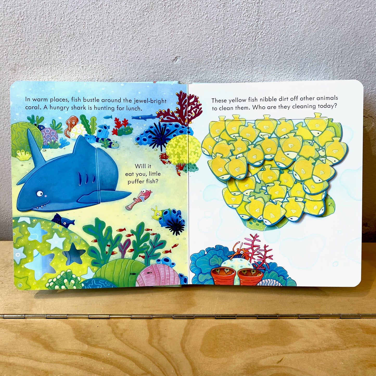 Usborne Peep Inside The Sea / Anna Milbourne