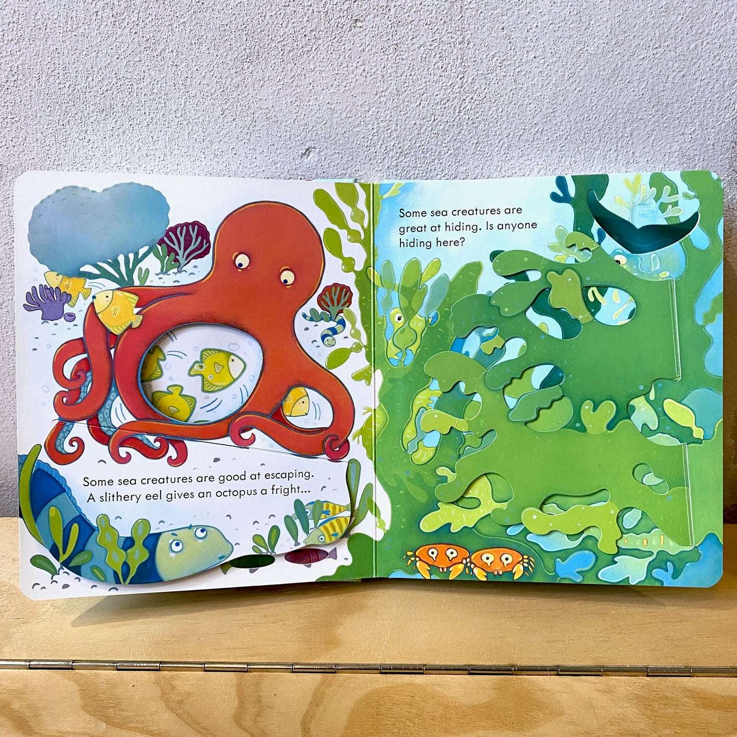 Usborne Peep Inside The Sea / Anna Milbourne