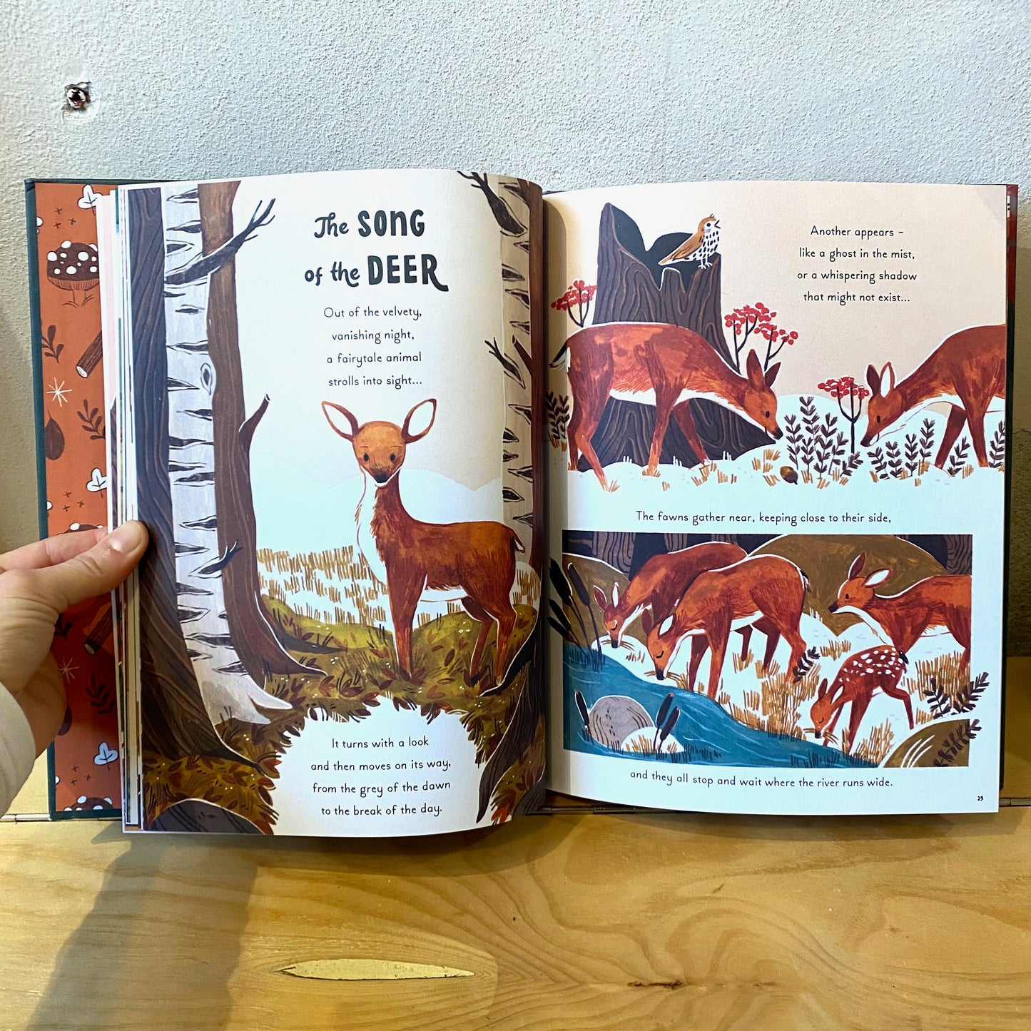 5 Minute Nature Stories - Gabby Dawnay, Mona K