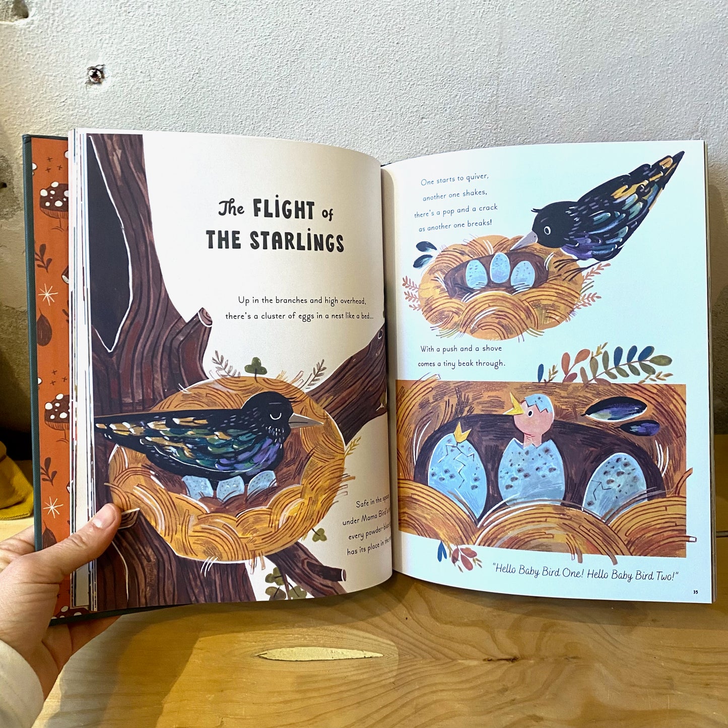 5 Minute Nature Stories - Gabby Dawnay, Mona K