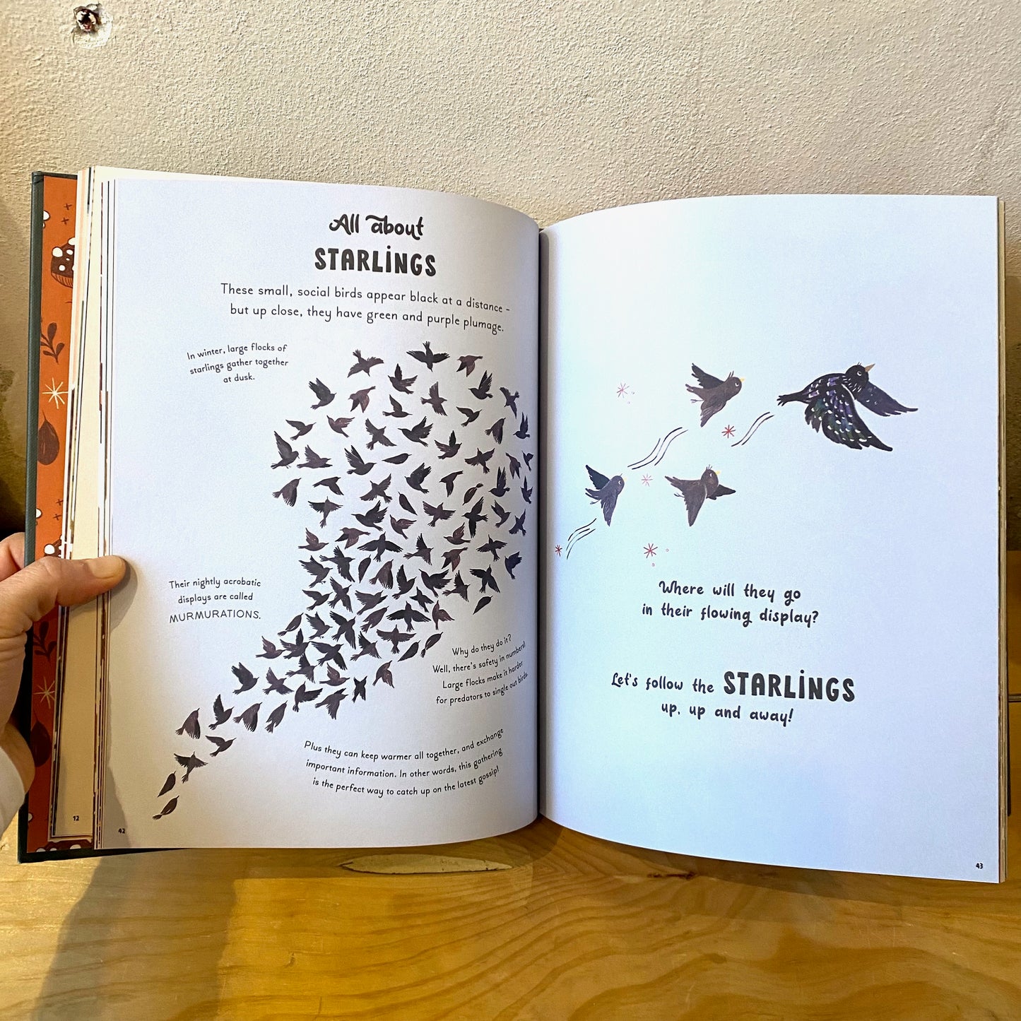 5 Minute Nature Stories - Gabby Dawnay, Mona K