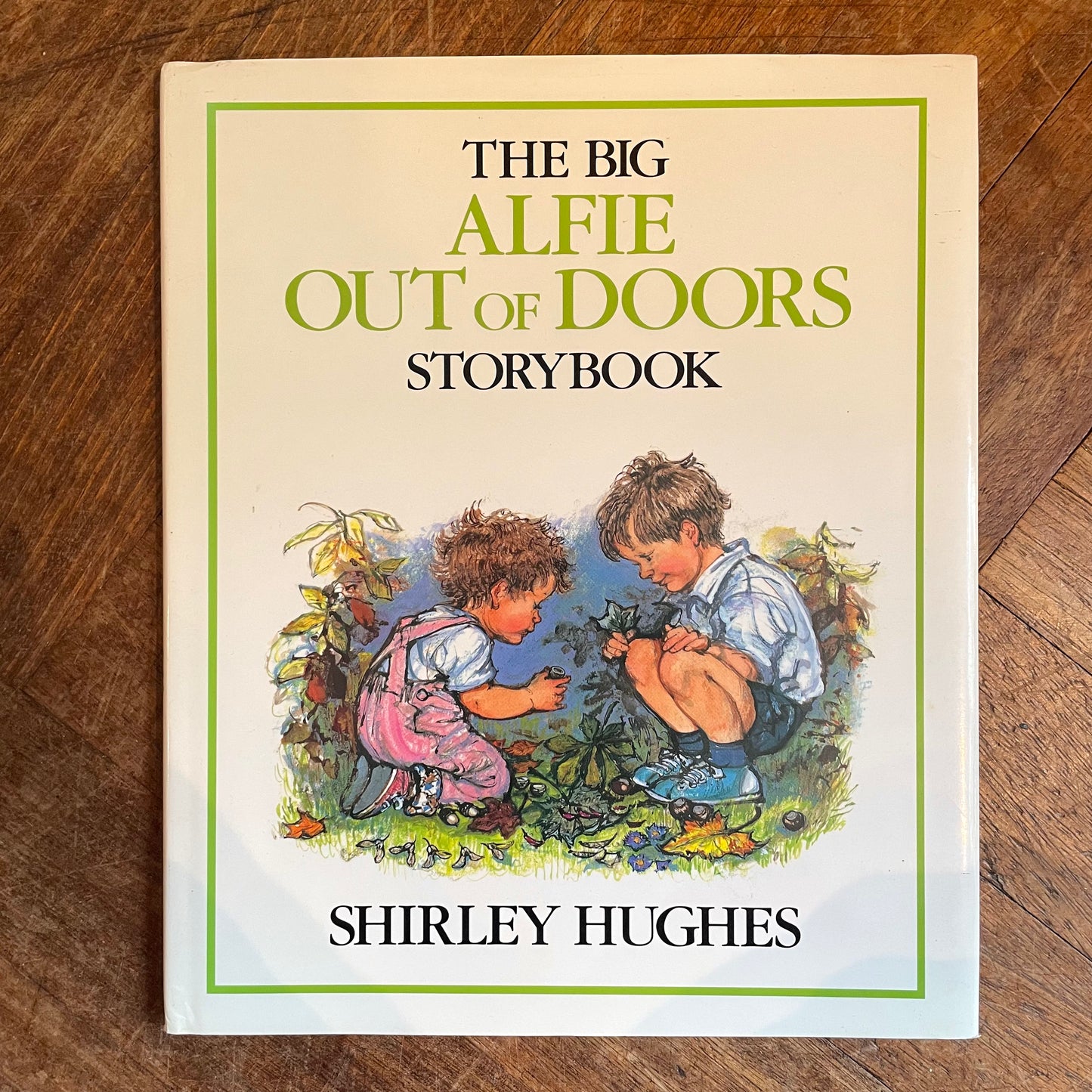 The Big Alfie Out of Doors Storybook (First Edition) – Shirley Hughes