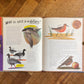 A Wild Child's Book of Birds (Signed by Author) – Dara Mc Anulty, Barry Falls