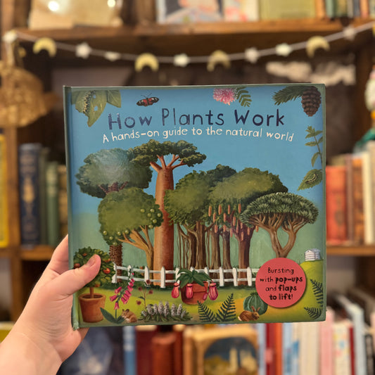 How Plants Work (as seen) – Christiane Dorion and Beverley Young