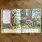 If You Go Down to the Woods Today: More than 100 Things to Find – Rachel Piercey and Freya Hartas