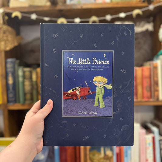 The Little Prince Graphic Novel – Joann Sfar