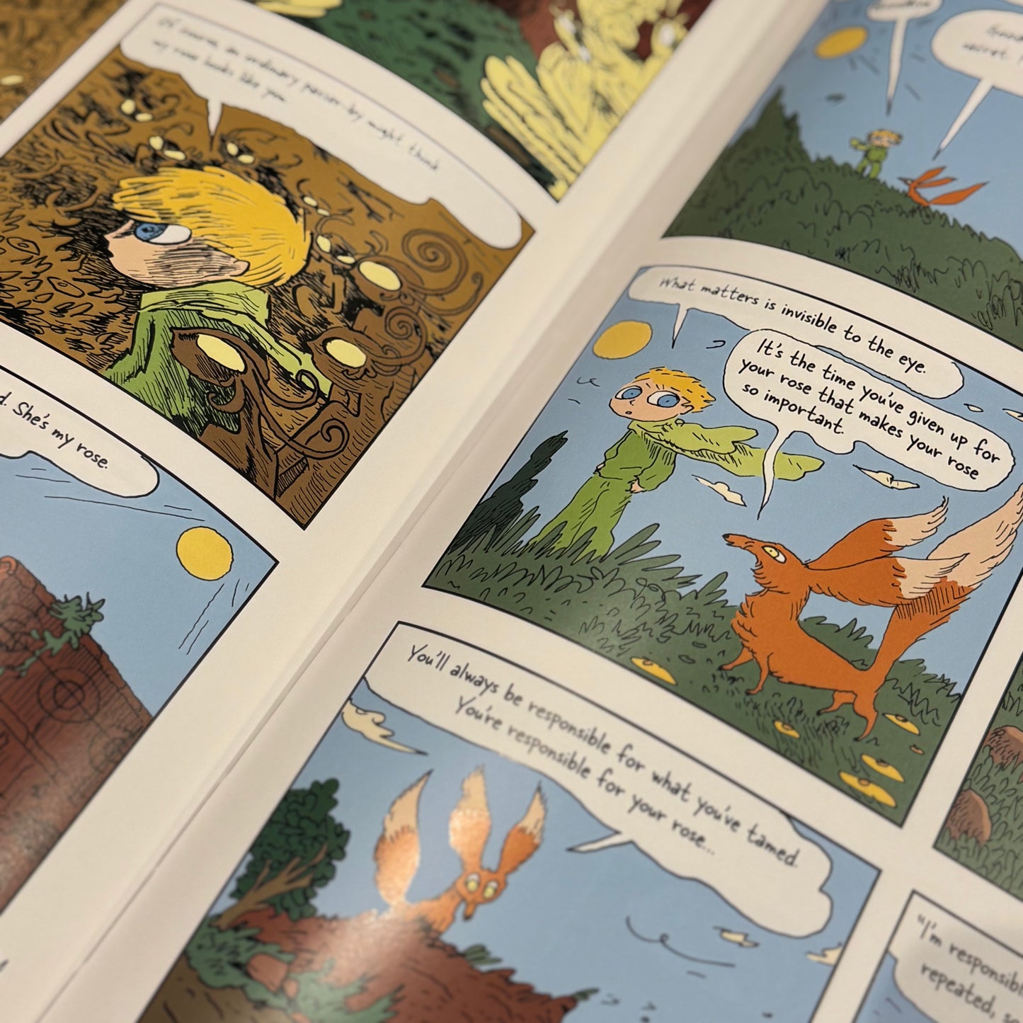 The Little Prince Graphic Novel – Joann Sfar
