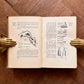 The Artistic Crafts Series of Technical Handbooks: Writing & Illuminating & Lettering – W. R. Lethaby