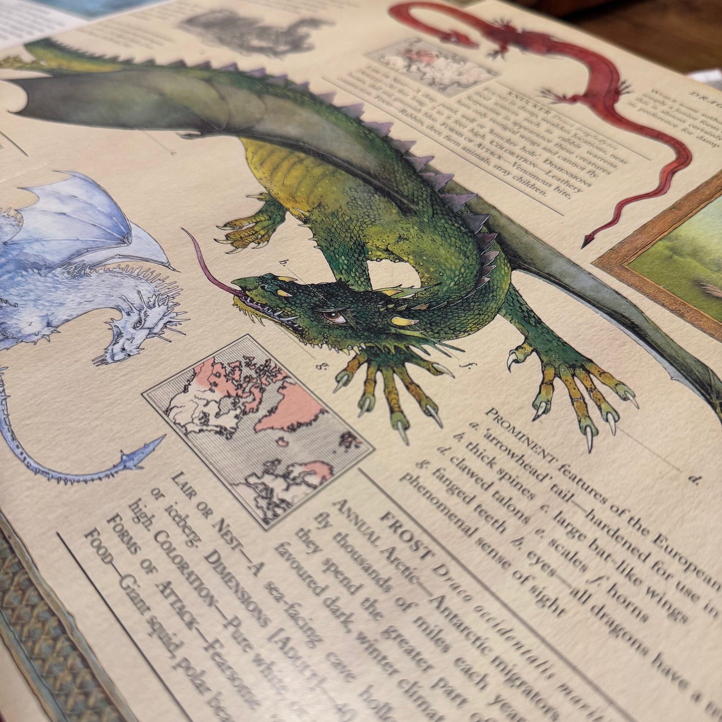 Dragonology – Dr Ernest Drake