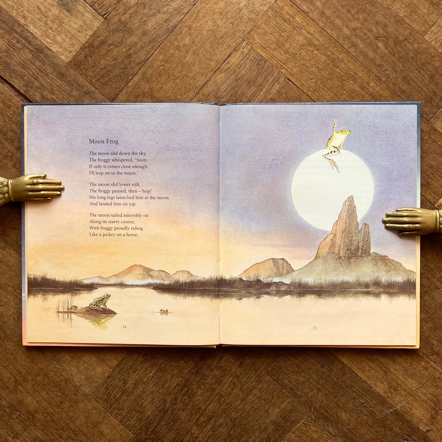 Moon Frog (1992 First Edition) – Richard Edwards and Sarah Fox-Davies