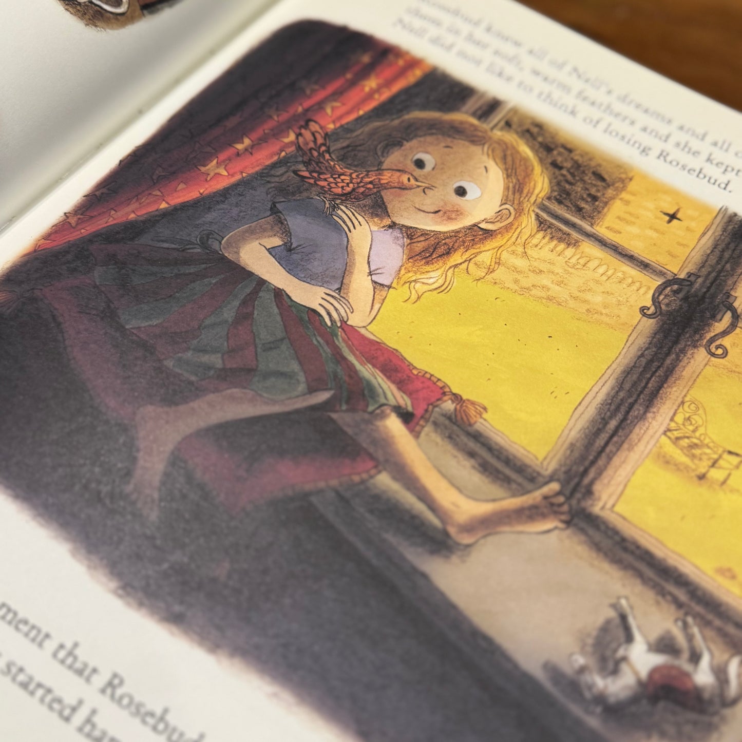 Nell & The Circus of Dreams (Signed!) – Nell Gifford & Briony May Smith