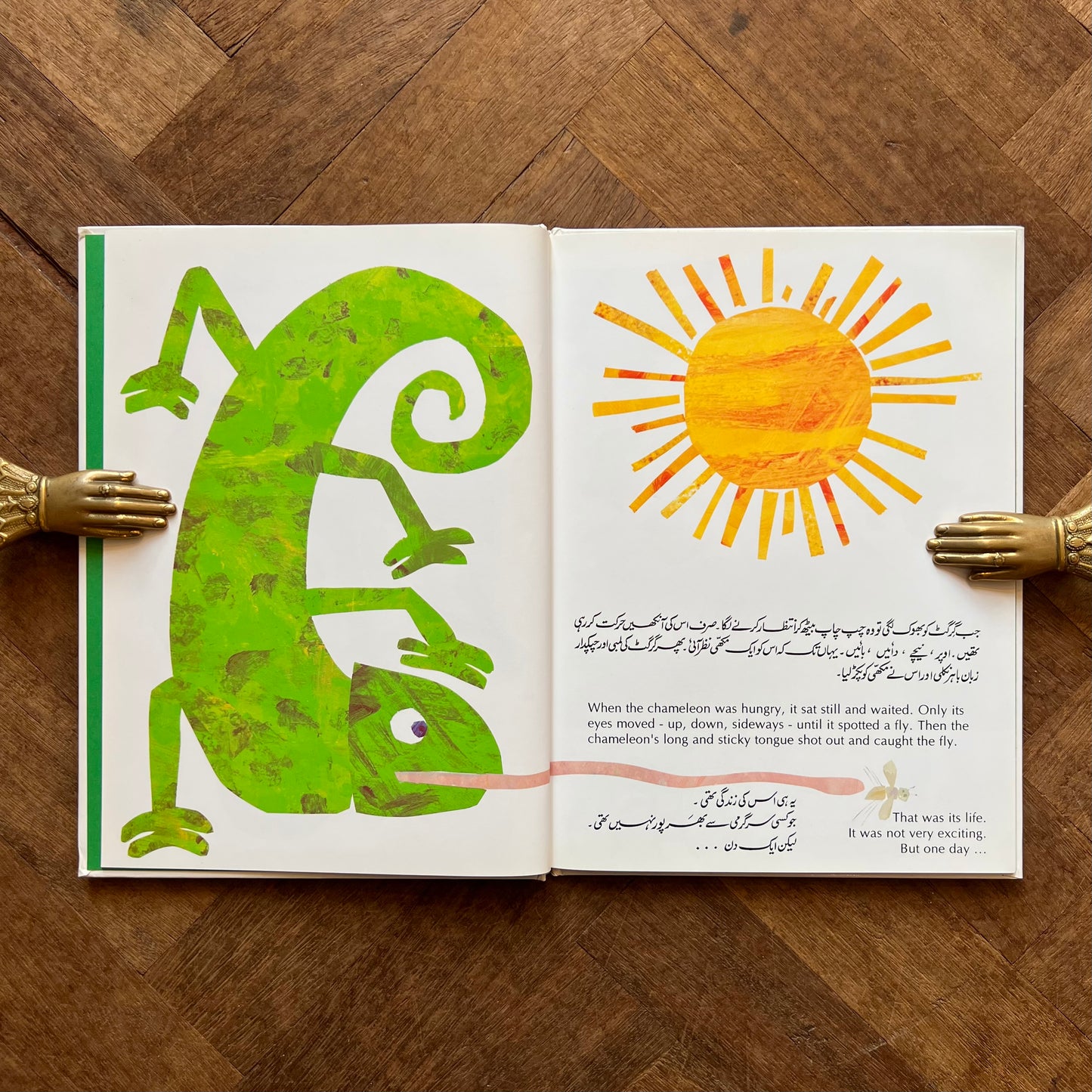 The Mixed-Up Chameleon (English & Urdu Edition) – Eric Carle