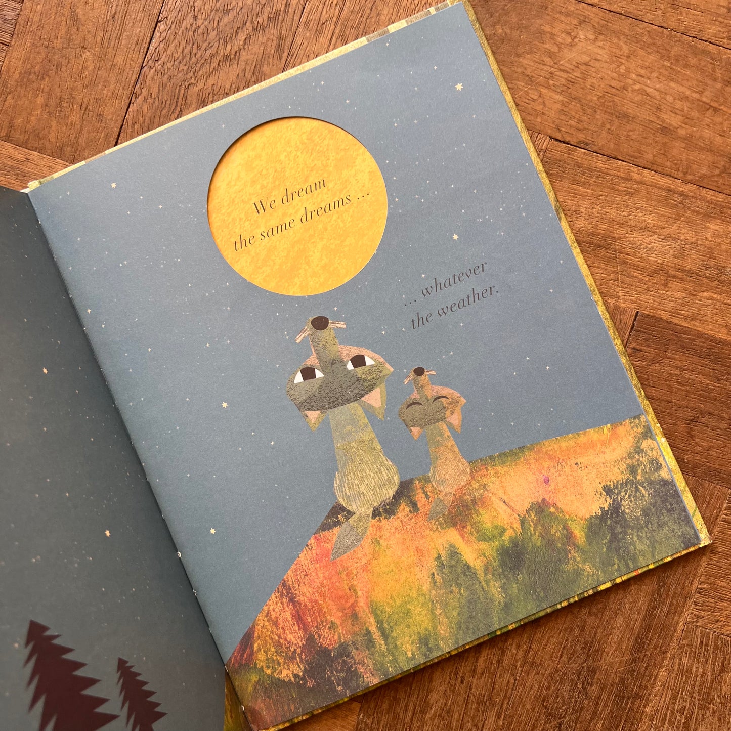 Under the Same Sky (2017 First Edition) – Britta Teckentrup