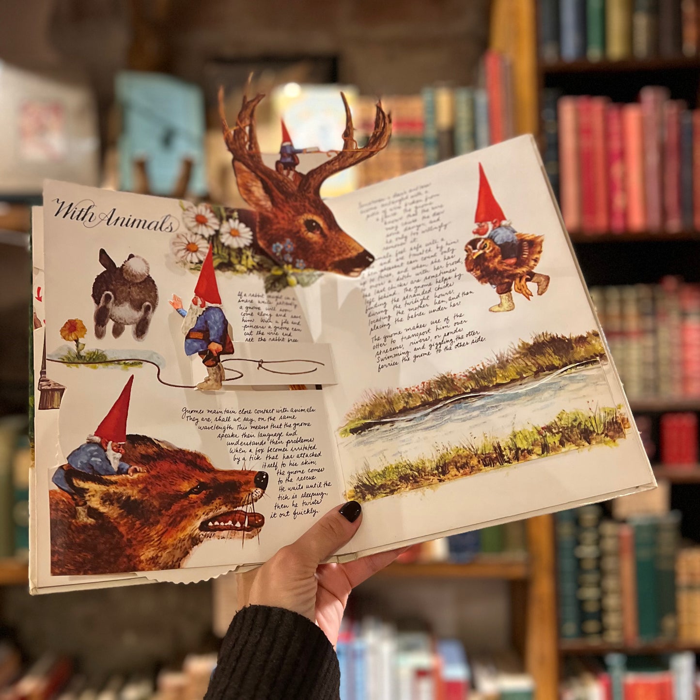 The Pop-Up Book of Gnomes (1979 First Edition) – Rien Poortvliet and Wil Huygen