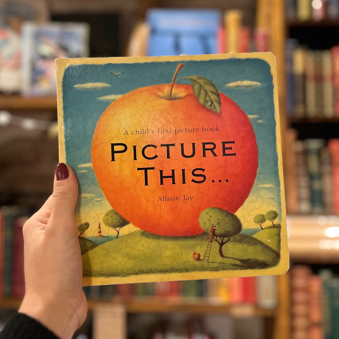 Picture This (2001 First Templar Edition) – Alison Jay