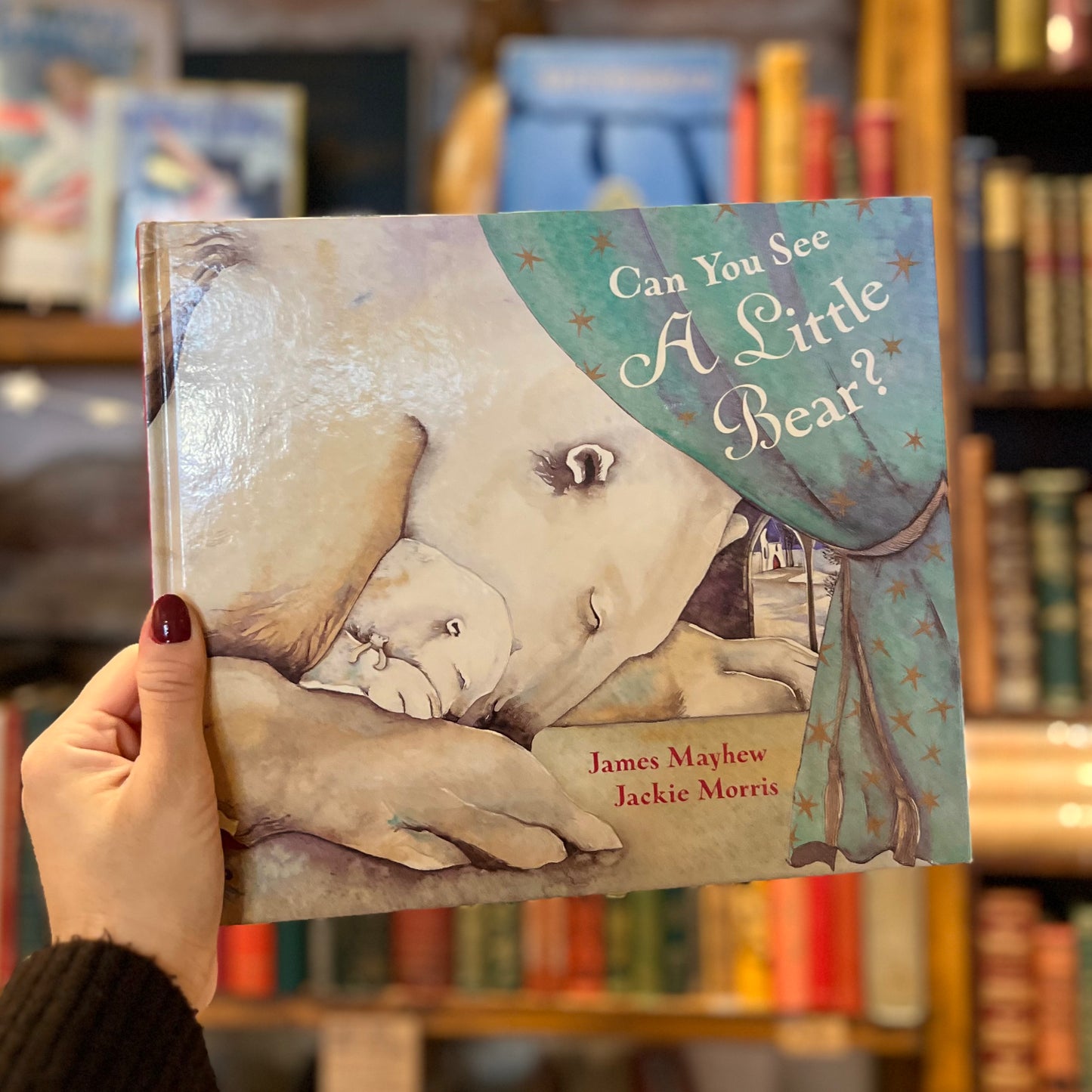 Can You See a Little Bear? (2005 First Edition) – James Mayhew, Jackie Morris